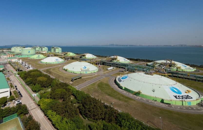 "LNG 9일 비축,