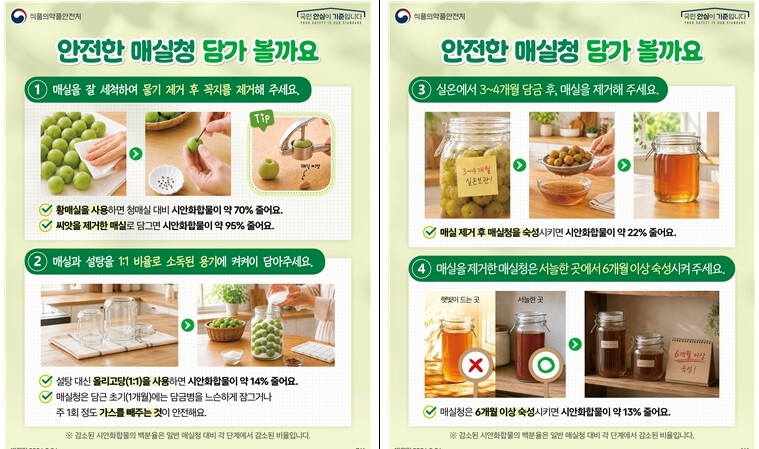 "씨 제거하면 독성 95% 줄어든다" 식약처, 안전한 매실청 담그기 요령 공개