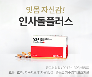 인사돌플러스